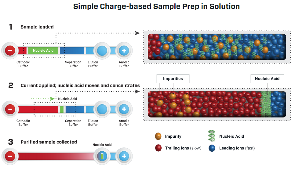 ITP Process